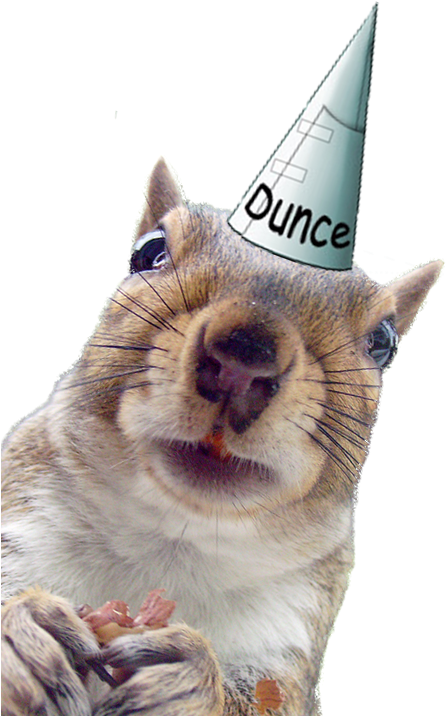 Squirrel Dunce Cap.png PNG Image