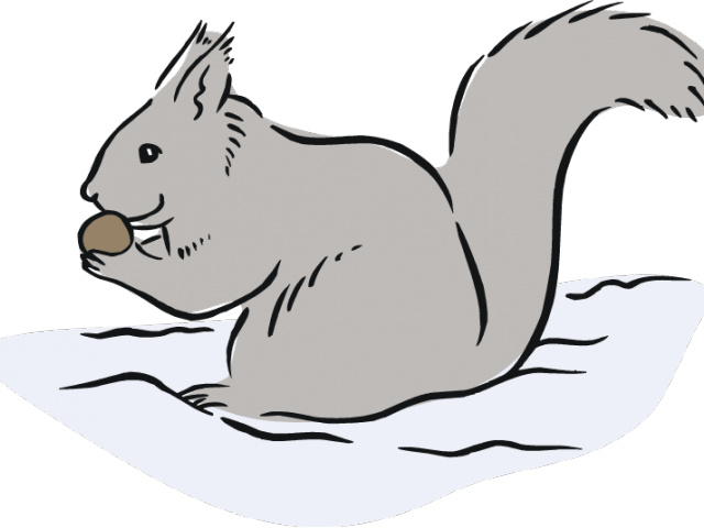 Squirrel Holding Acorn PNG Image