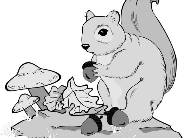 Squirrel_with_ Acorns_and_ Mushrooms PNG Image