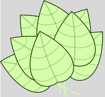 Stacked Green Leaves Illustration PNG Image