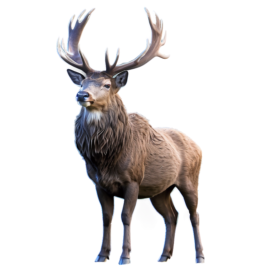 Stag In Mist Png Yob PNG Image