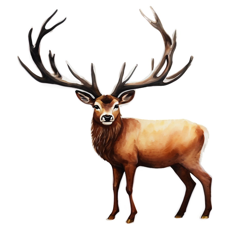 Stag Watercolor Painting Png 17 PNG Image