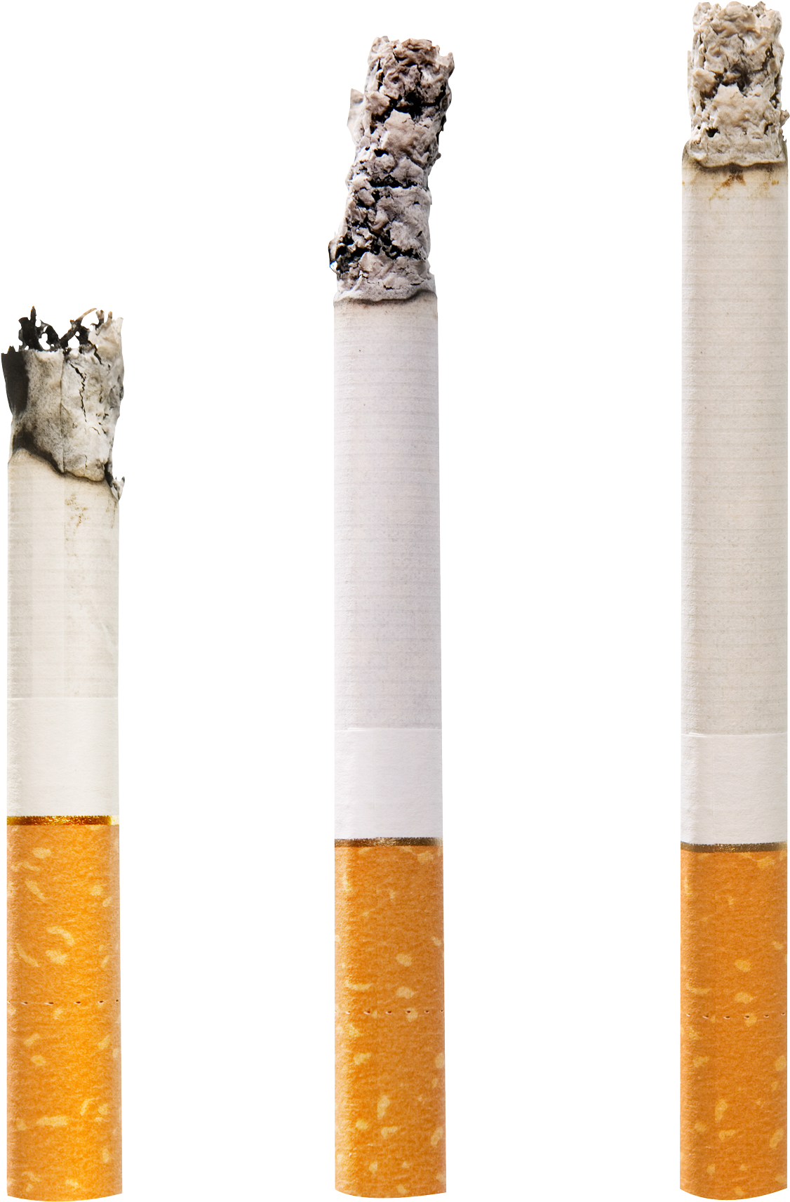 Stagesof Cigarette Burning PNG Image