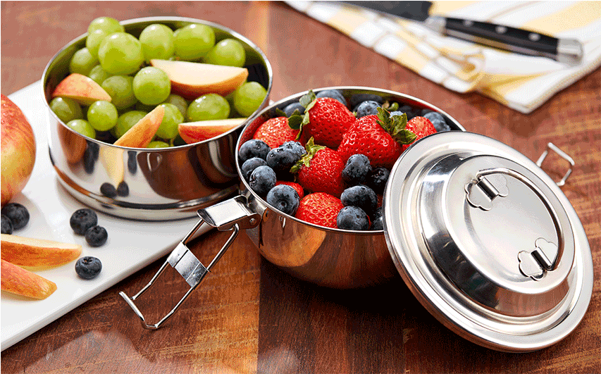 Stainless Steel Tiffin Boxwith Fruits PNG Image