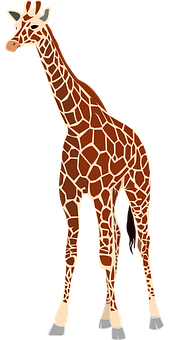 Standing Giraffe Cartoon Illustration PNG Image