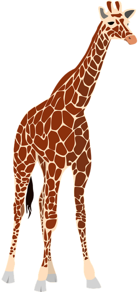 Standing Giraffe Illustration.png PNG Image