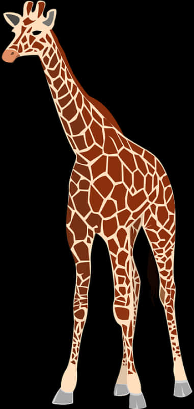 Standing Giraffe Illustration PNG Image