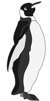 Standing Penguin Graphic PNG Image