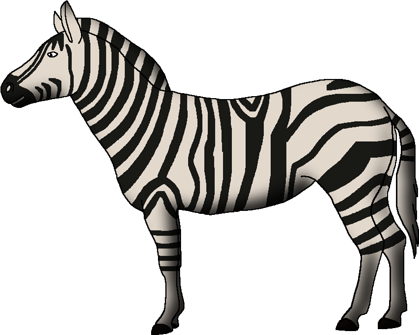 Standing Zebra Illustration PNG Image