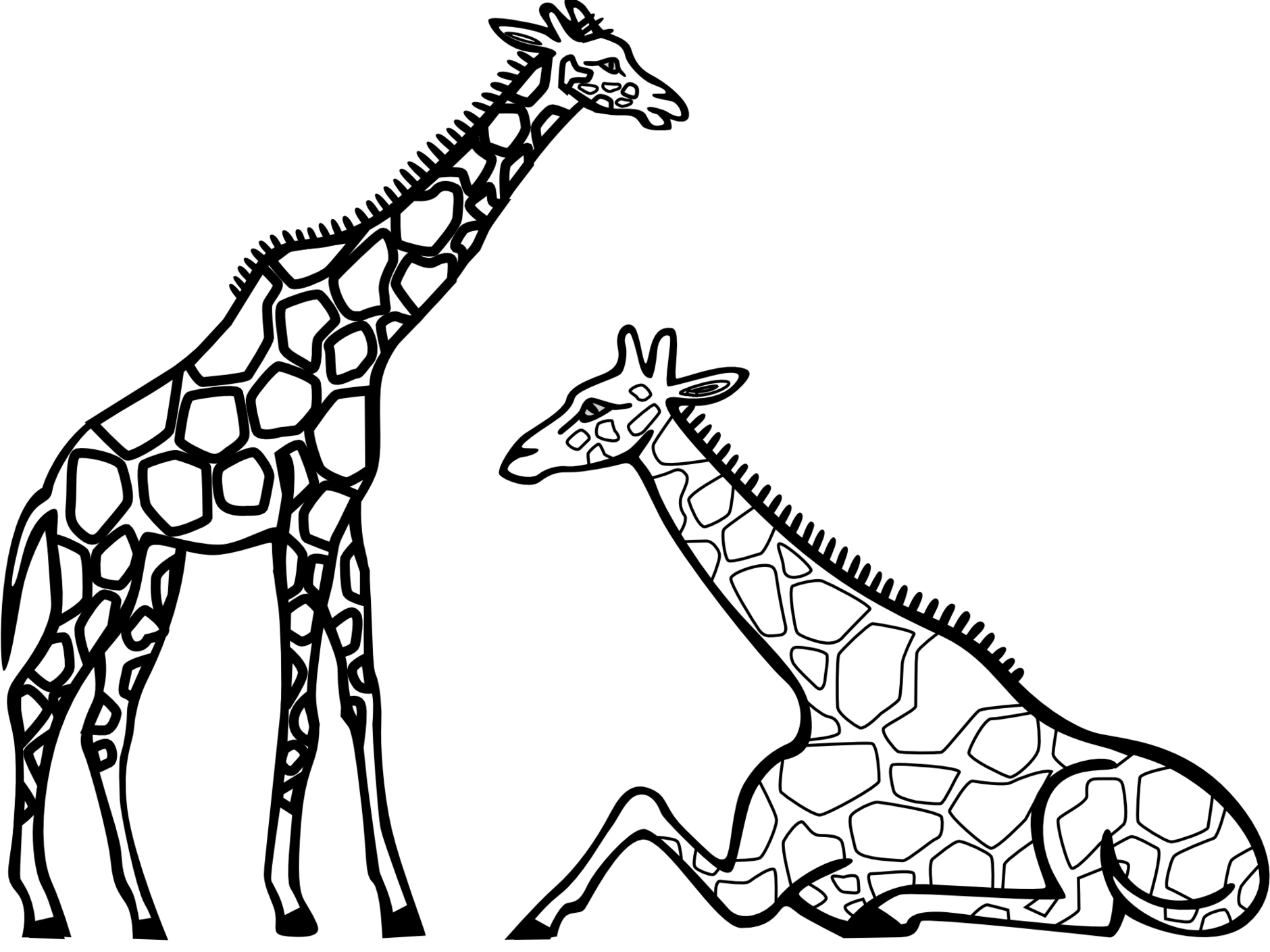 Standingand Sitting Giraffes Line Art PNG Image