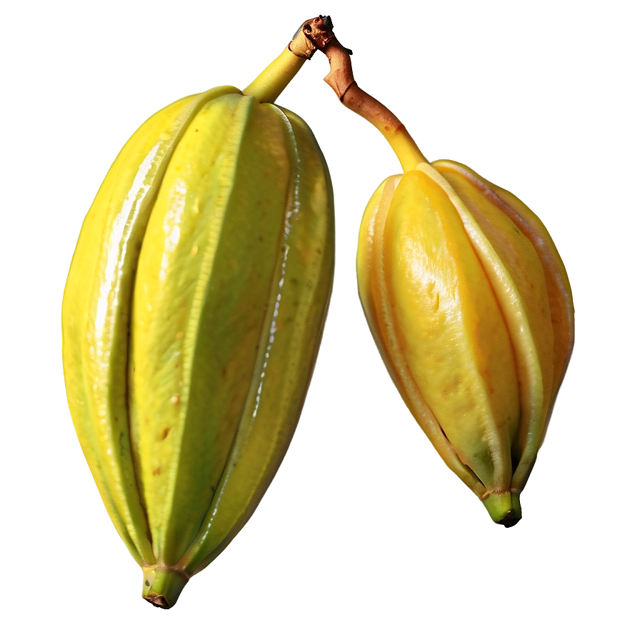 Star Fruit C PNG Image