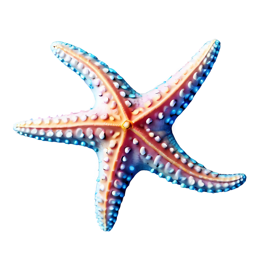 Starfish Png Kpw47 PNG Image