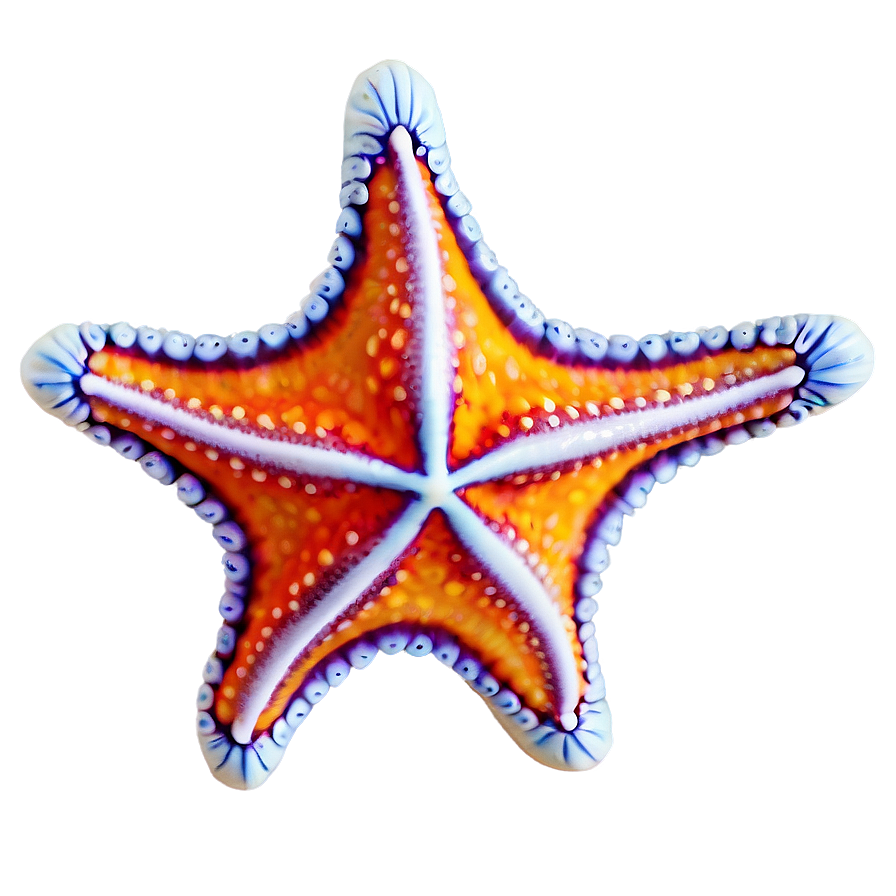 Starfish Png Vxi PNG Image