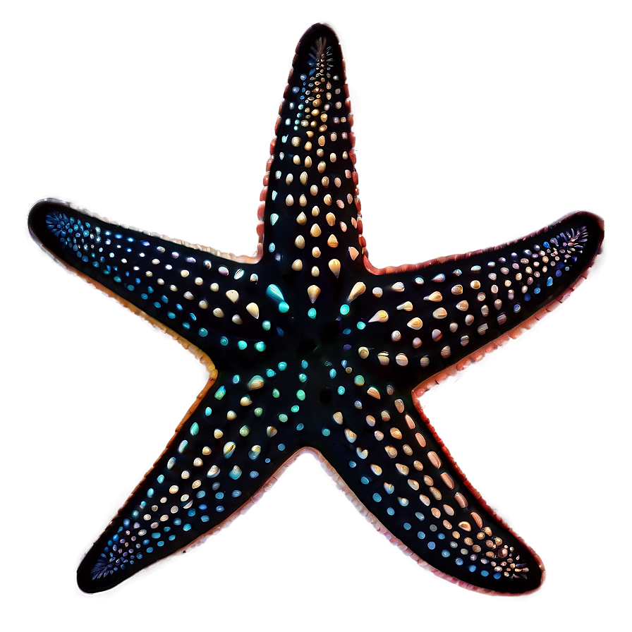 Starfish Silhouette Png Gjw20 PNG Image