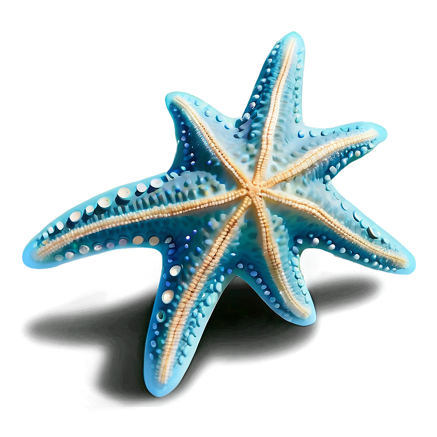 Starfish Underwater Image Png Mly PNG Image