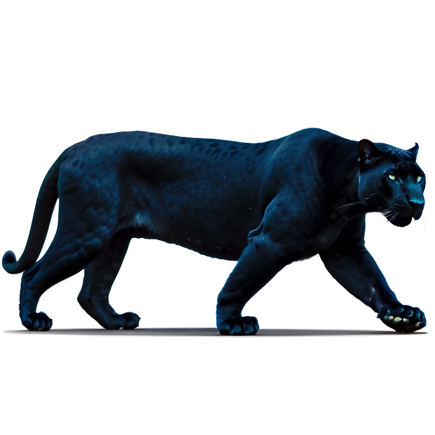 Stealthy Panthers In Night Png 74 PNG Image