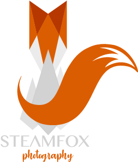 Steam Fox Photography Logo PNG Image