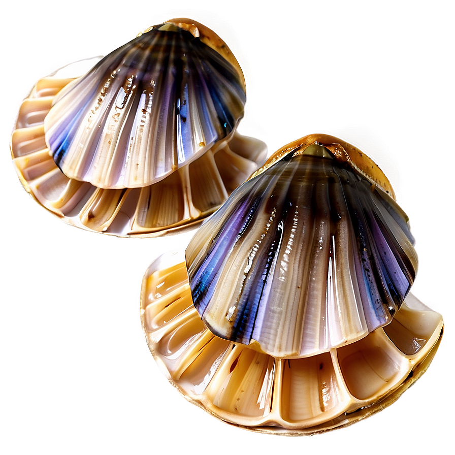 Steamed Clam Delicacy Png Xoi PNG Image