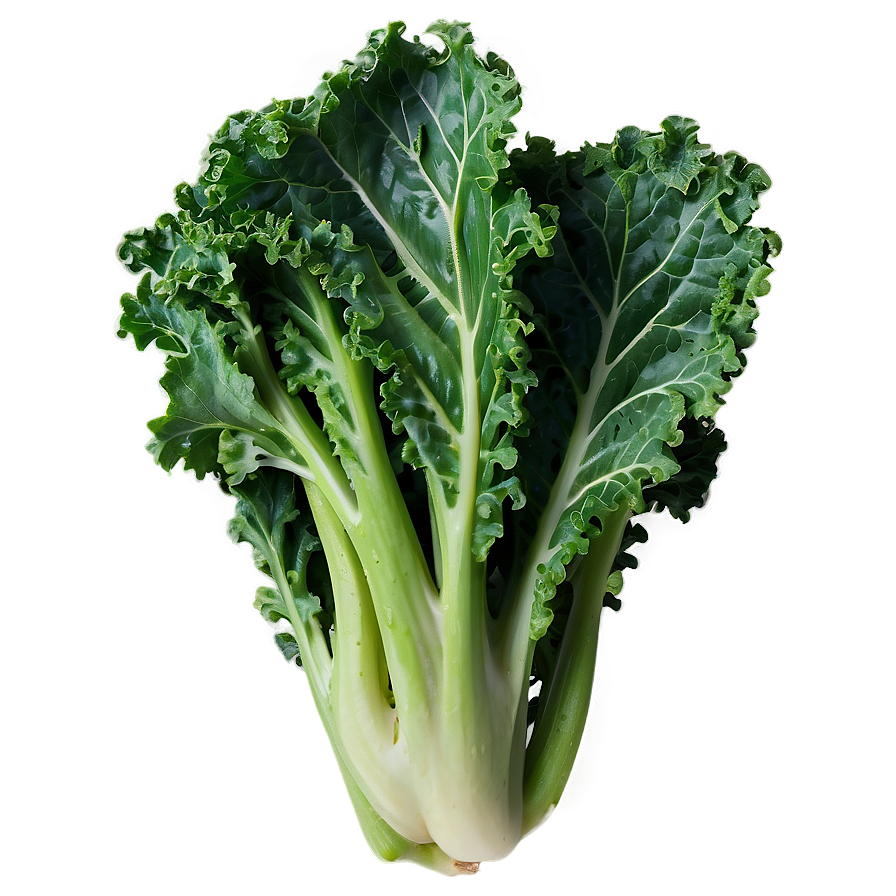 Steamed Kale Png Cwf PNG Image