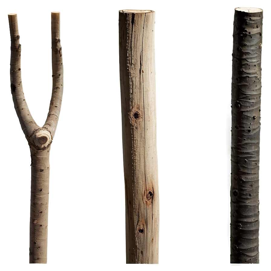 Sticks In Nature Png 10 PNG Image