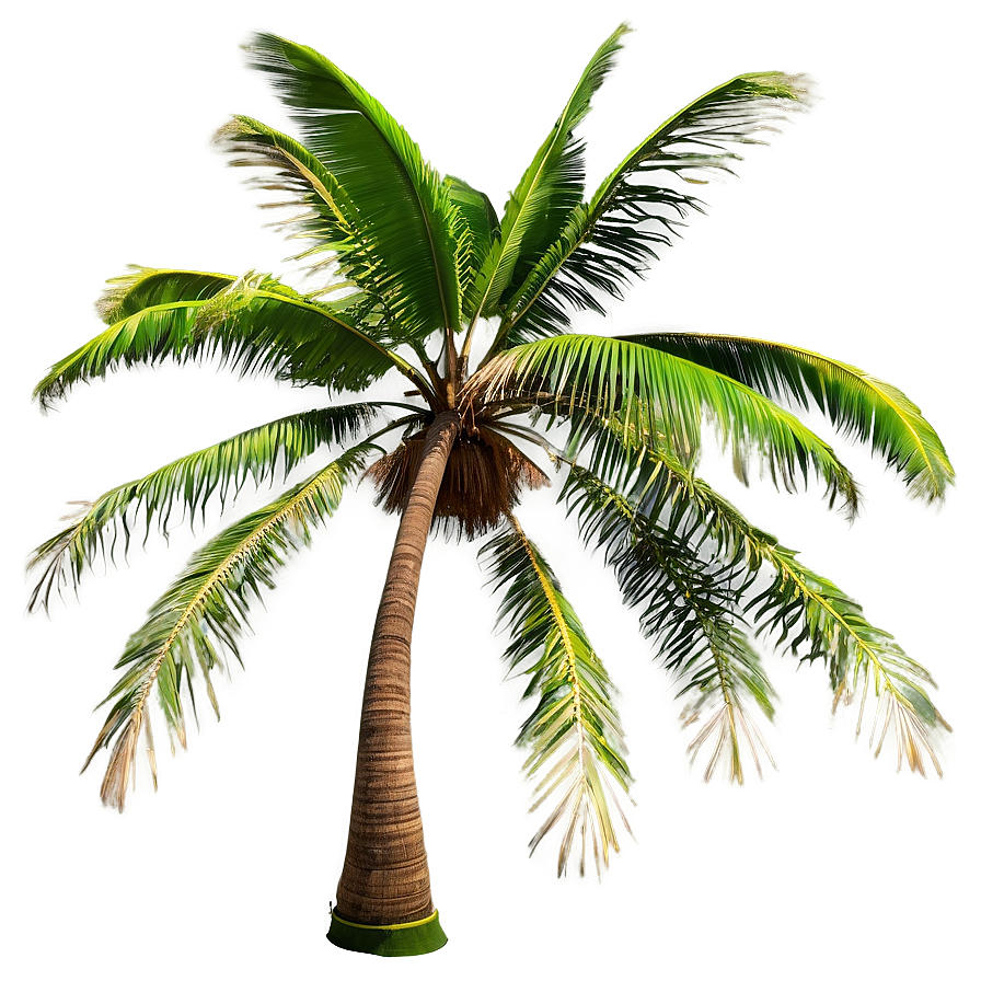 Stormy Sky Palms Png Uyr PNG Image