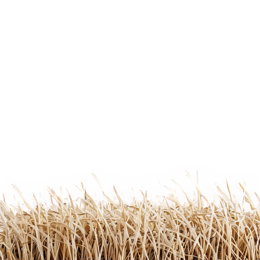 Straw-like Dry Grass Png Hxv PNG Image