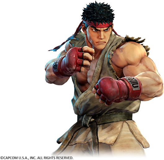 Street Fighter Character Readyfor Battle PNG Image