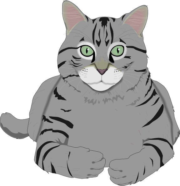 Striped Gray Cat Illustration PNG Image