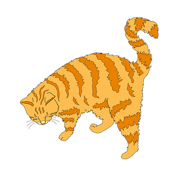 Striped Orange Cat Illustration PNG Image