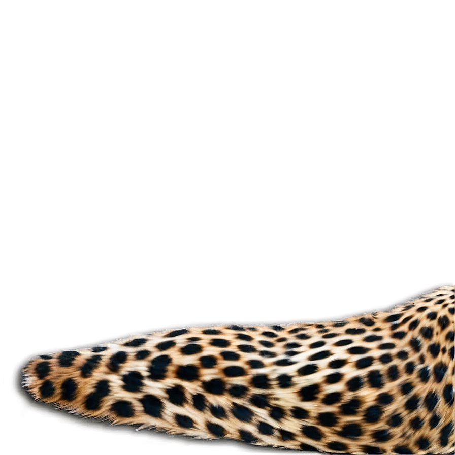 Stylish Cheetah Print Graphics Png Yky PNG Image