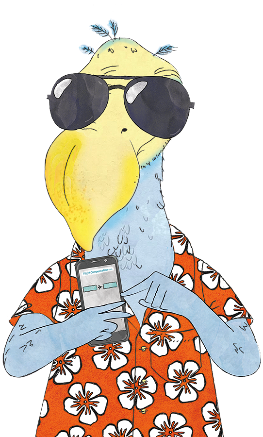 Stylish Dodowith Sunglassesand Phone PNG Image