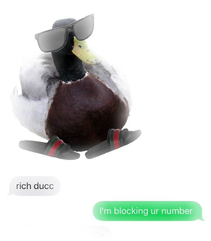 Stylish Duck With Sunglassesand Shoes PNG Image