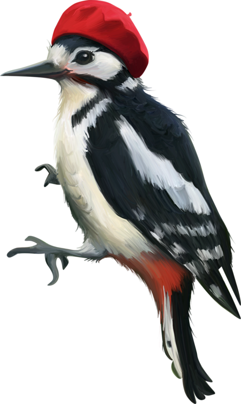 Stylish Woodpecker Red Hat PNG Image