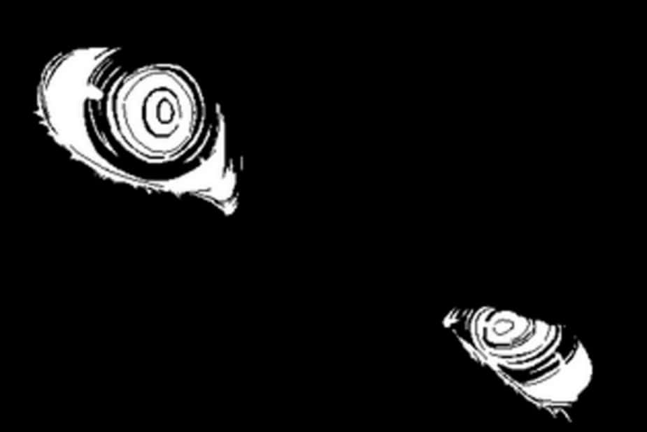 Stylized Anime Eyes Blackand White PNG Image