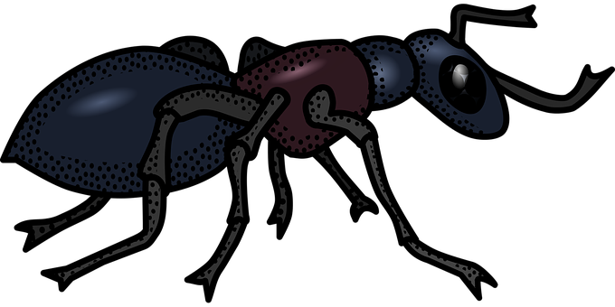 Stylized Ant Illustration PNG Image