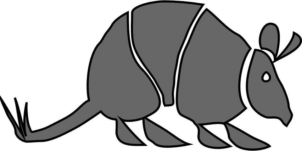 Stylized Armadillo Illustration PNG Image