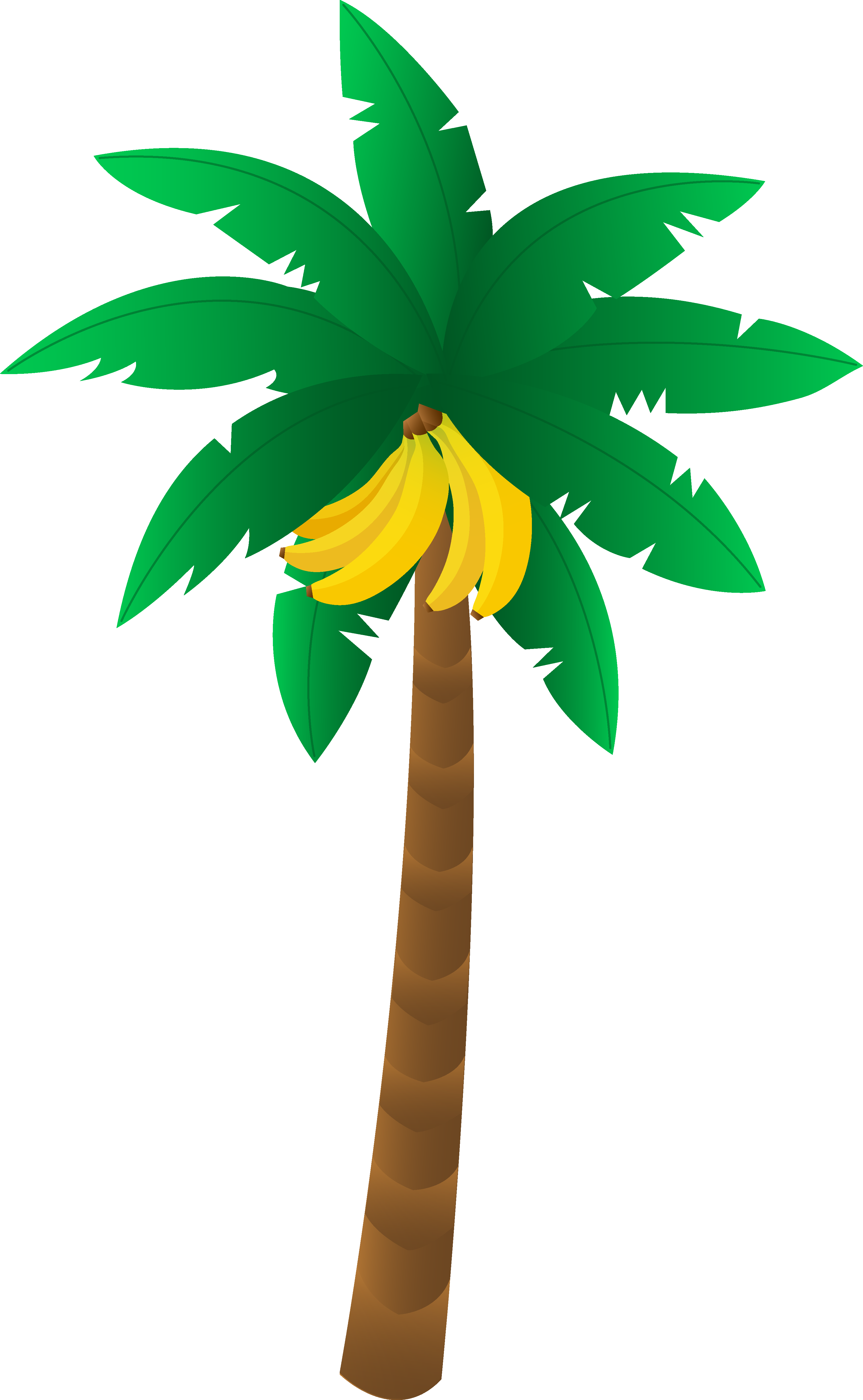 Stylized Banana Tree Illustration PNG Image