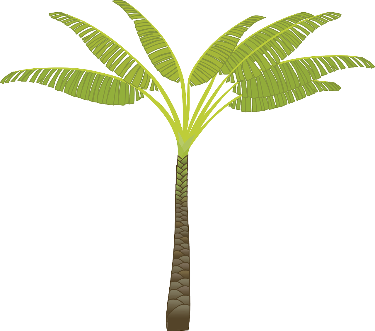 Stylized Banana Tree Illustration PNG Image