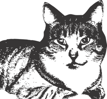 Stylized Black Cat Graphic PNG Image