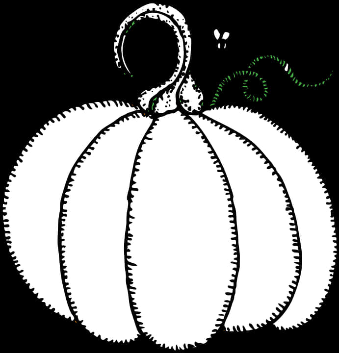 Stylized Black White Pumpkin Illustration PNG Image