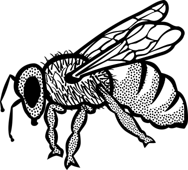 Stylized Blackand White Bee Illustration PNG Image