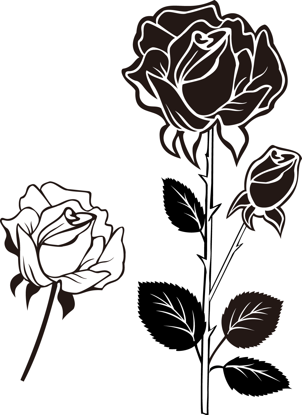 Stylized Blackand White Roses PNG Image