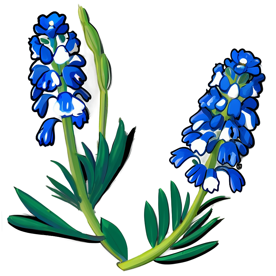 Stylized Bluebonnet Portrait Png Mnk PNG Image