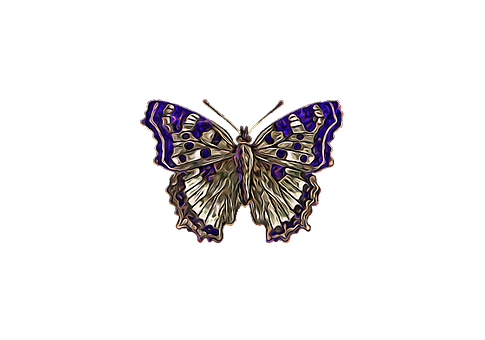 Stylized Butterfly Artwork PNG Image