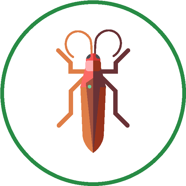 Stylized Cockroach Icon PNG Image