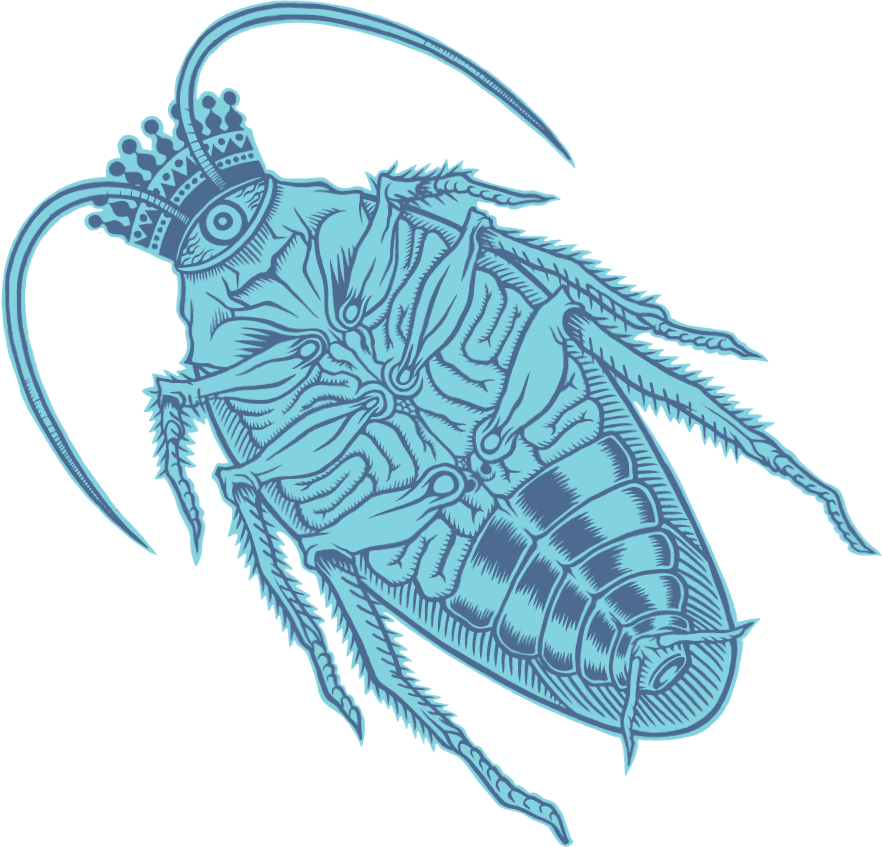 Stylized Cockroach Illustration PNG Image