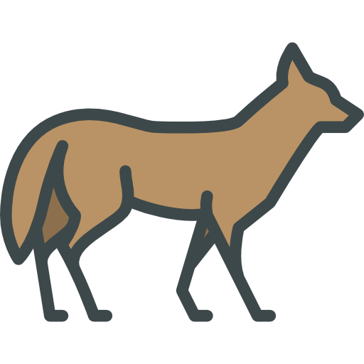 Stylized Coyote Graphic PNG Image