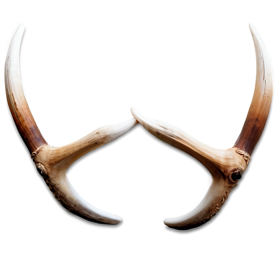 Stylized Deer Antler Art Png 06122024 PNG Image