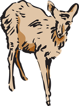 Stylized Deer Illustration PNG Image