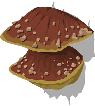 Stylized Fungus Illustration PNG Image